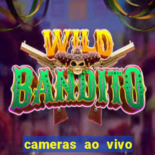 cameras ao vivo beto carrero